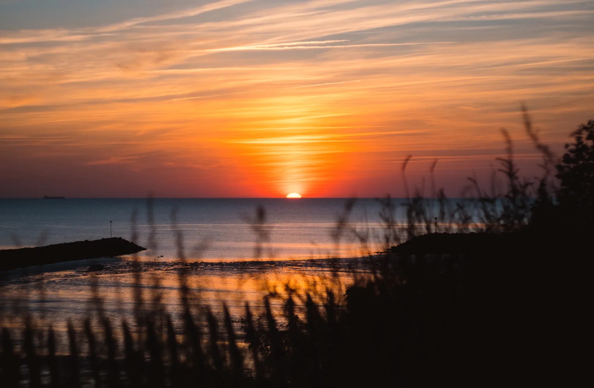 Le soleil se couche sur l'océan, à travers les herbes du rivage