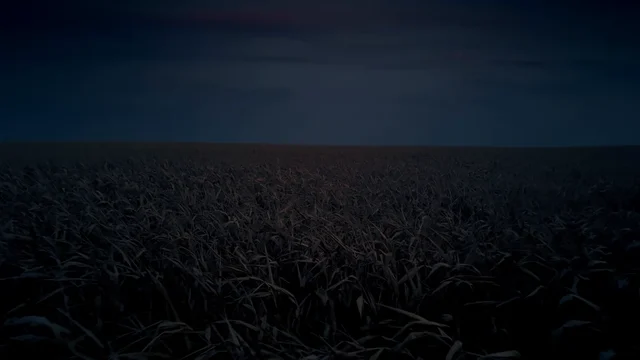 A feeling of sadness taking flight
