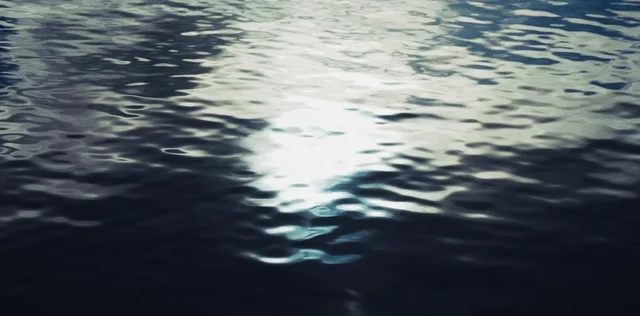 Le Portail des sensations observables