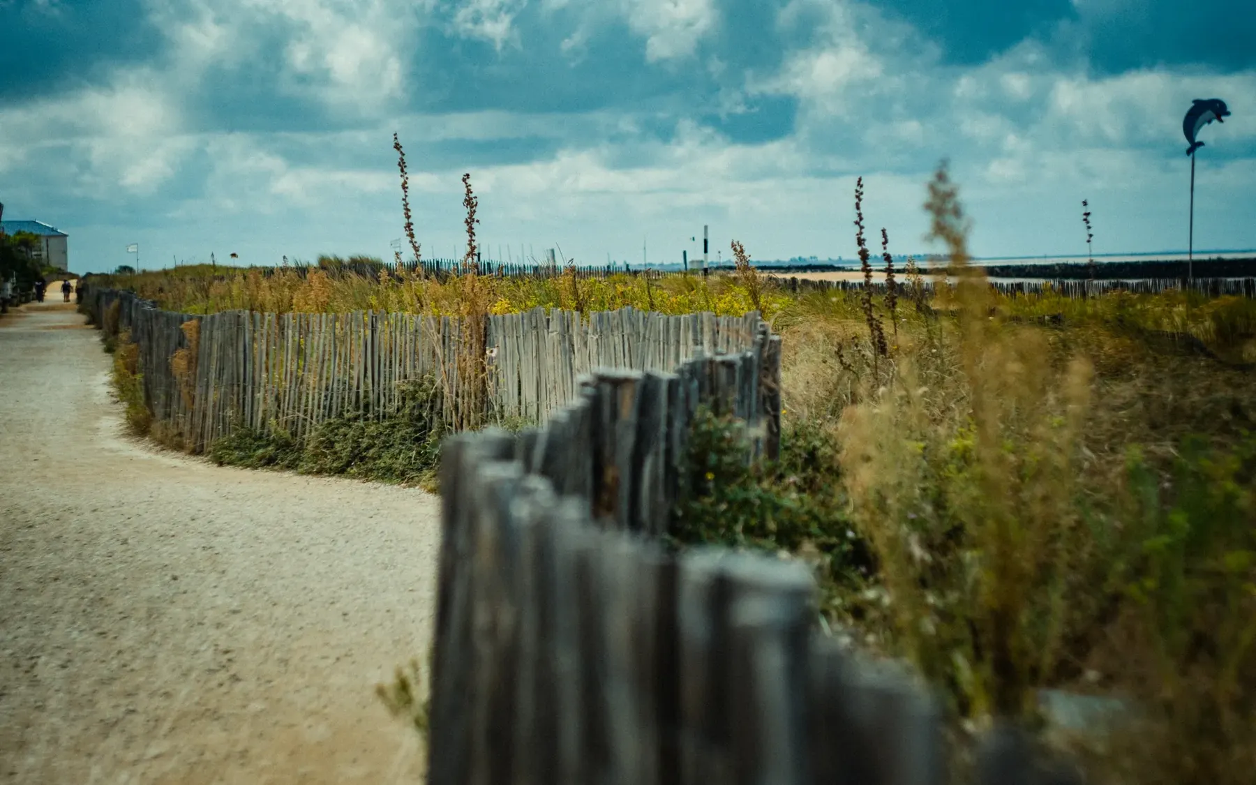 Sentier de dune bordé de ganivelles, littoral charentais