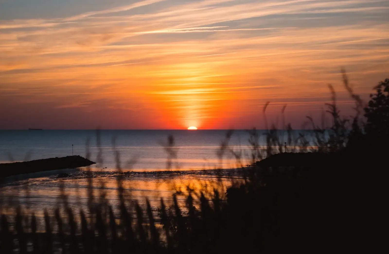 Coucher de soleil sur l'océan, herbes hautes au premier plan