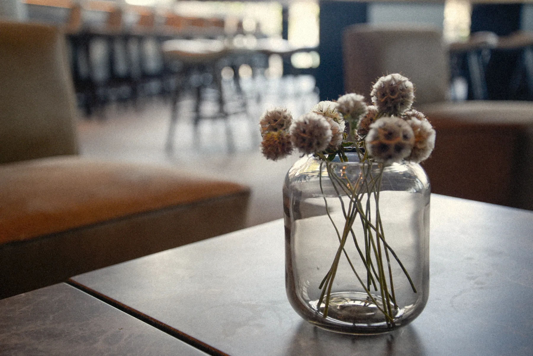 Bouquet de fleurs séchées dans un vase de verre